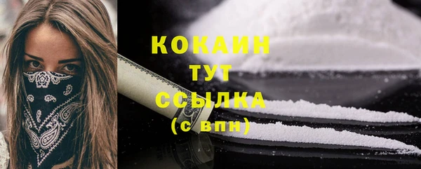 соль ск Белокуриха