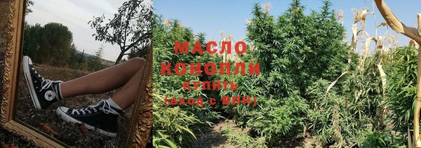 крисы Баксан