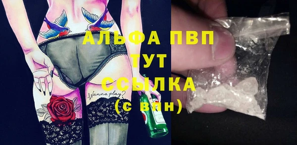 ПСИЛОЦИБИНОВЫЕ ГРИБЫ Беломорск