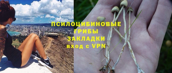ПСИЛОЦИБИНОВЫЕ ГРИБЫ Беломорск
