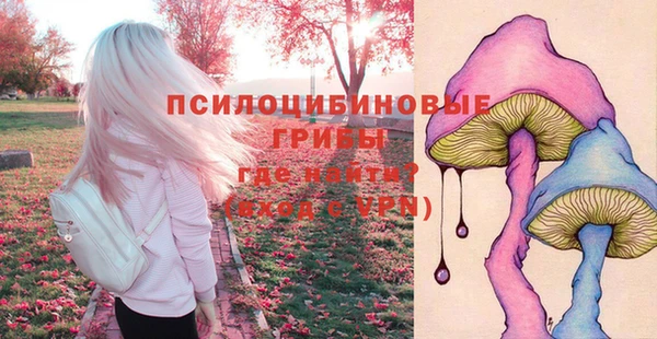 соль ск Белокуриха