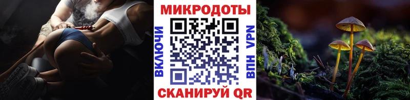 Галлюциногенные грибы Magic Shrooms  Высоцк 